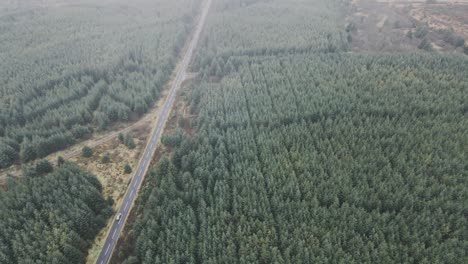 high aerial view over evergreen forest and car on country road, tilt down