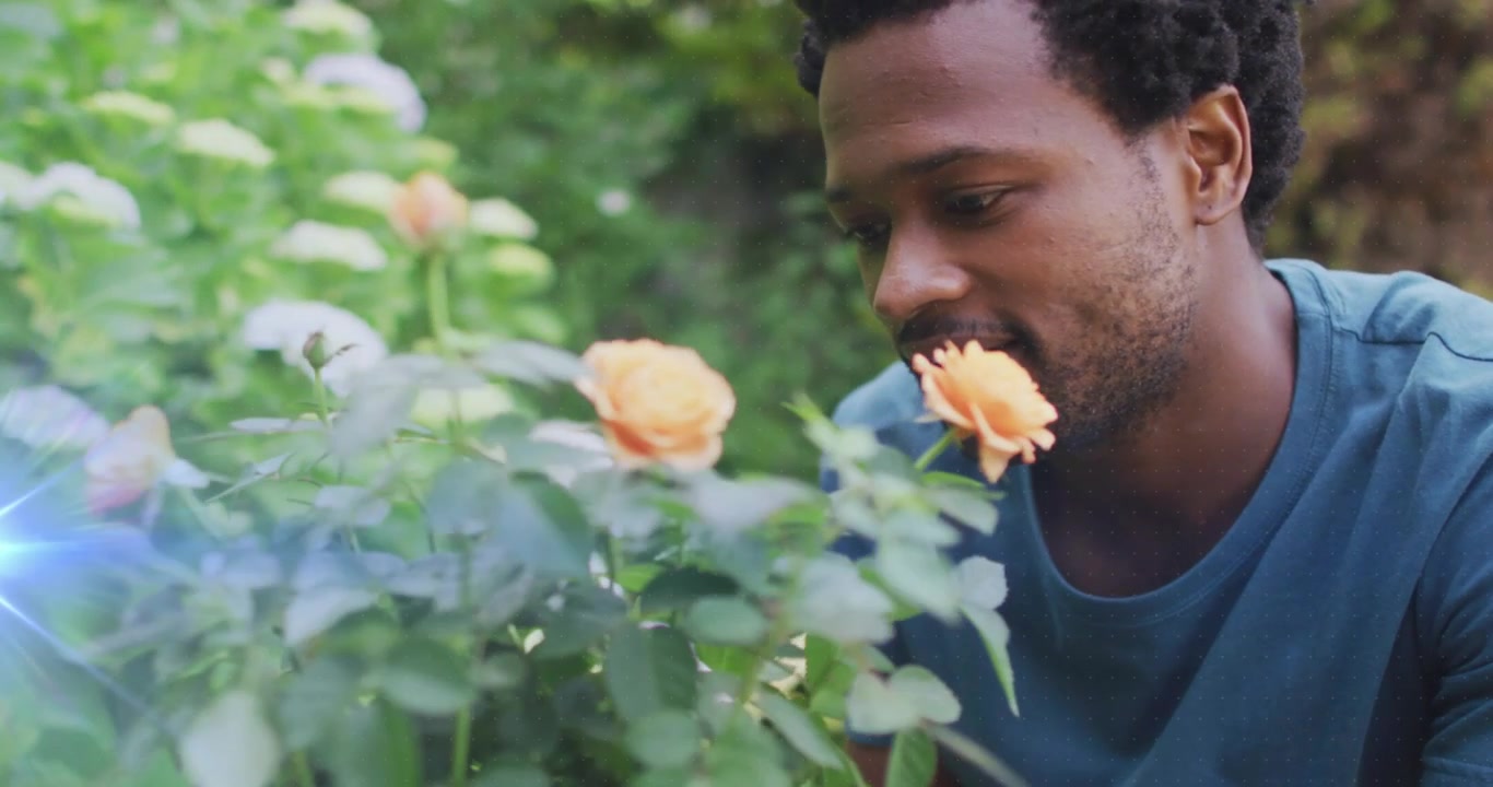 Anelli digitali pulsanti che si dissolvono e rivelano un giardiniere inginocchiato in giardino vicino a una rosa, che inala il profumo.