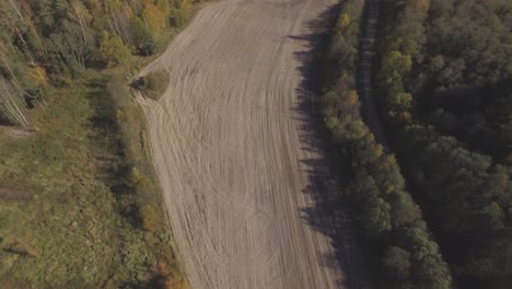 cultivated land in the forest in autumn