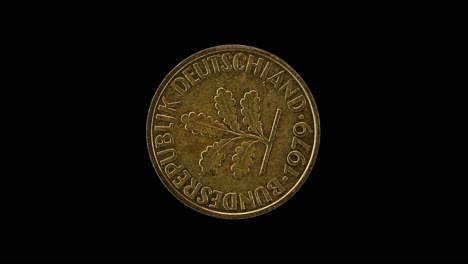 germany 10 pfennig 1979 obverse with oak sprig macro loop on black background