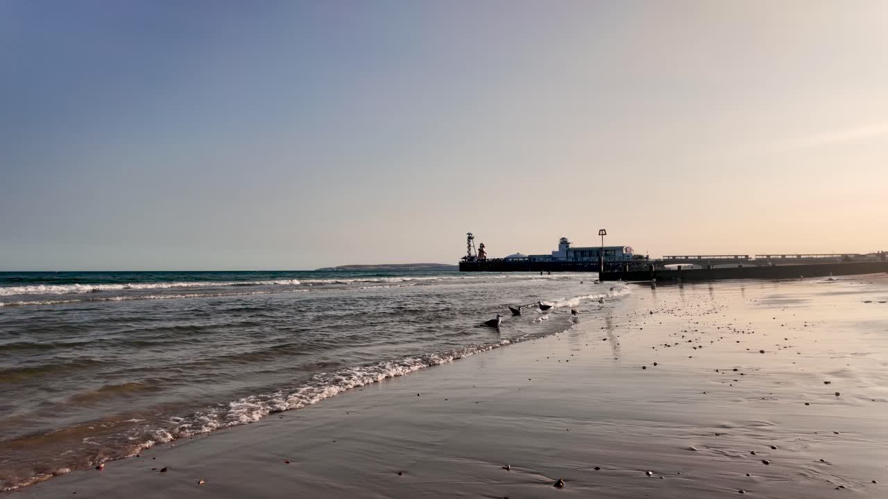 Peaceful coastal view with gentle waves, a pier, and scattered seagulls under a serene sky