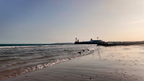 peaceful coastal view with gentle waves, a pier, and scattered seagulls under a serene sky