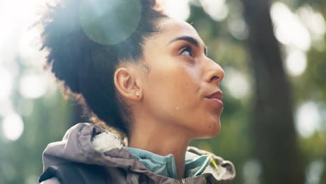 beauty, sunshine and freedom for girl hiking