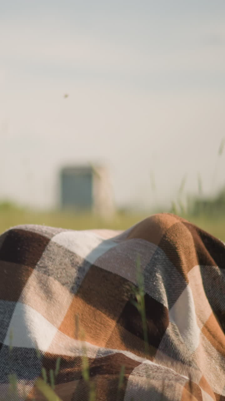 A woman in a blue gown, her face not visible, holds a plaid scarf as the wind blows it in a grassy field. Two children in white shirts play beneath the scarf, laughing as the woman covers them with it