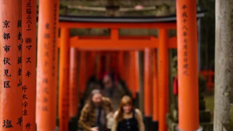 personas caminando bajo las tradicionales puertas torii japonesas