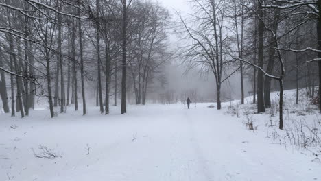 person walking and running true the white snow in a forest in górowo iławeckie