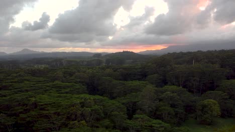 sobrevuelo aéreo cinematográfico que revela una exuberante selva tropical, ríos, montañas y arroyos durante la puesta de sol con nubes amarillas