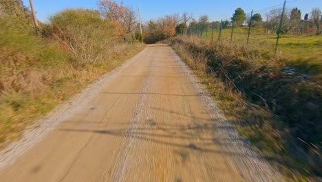 unpaved country road in autumn