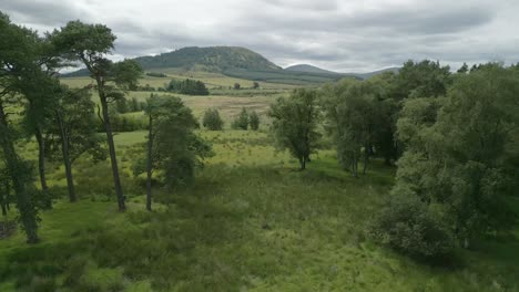 Flying-towards-then-over-tree-line-towards-hill-Great-Mell-Fell-on-overcast-summer-day