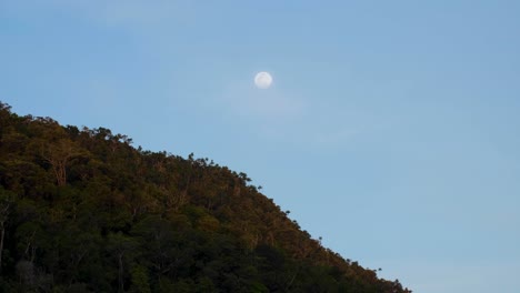 Full-moon-during-daylight-over-rainforest-trees-on-a-remote-tropical-island-in-Raja-Ampat,-West-Papua,-Indonesia