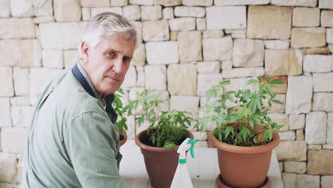 ein älterer mann, der zu hause marihuana anbaut