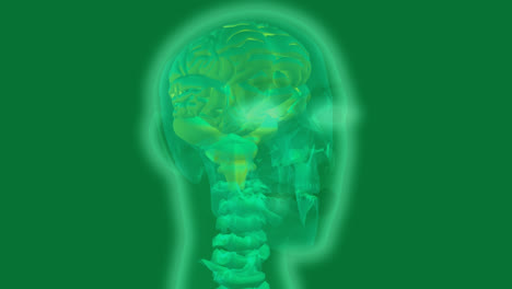 rayos x de cabeza humana verde brillante con estructuras moleculares en verde