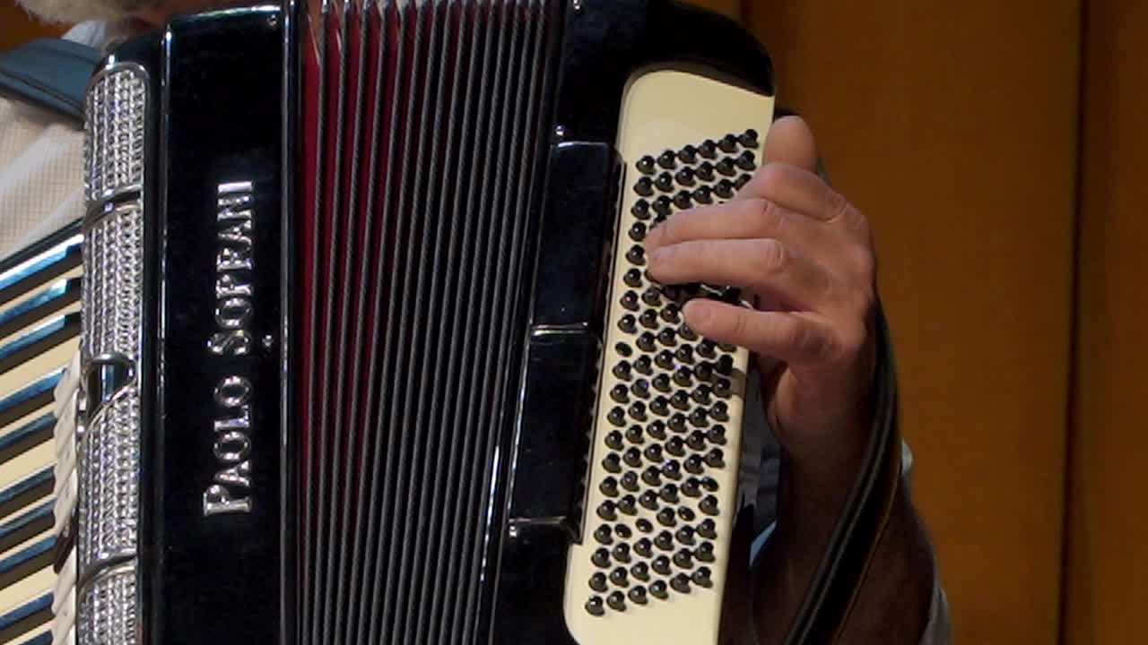 Closeup of an accordionist's hands performing onstage during a folk festival.
