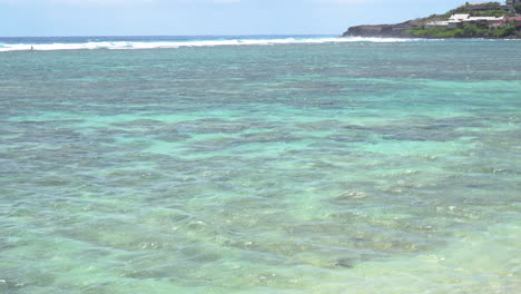 tropical and crystalline ocean side view