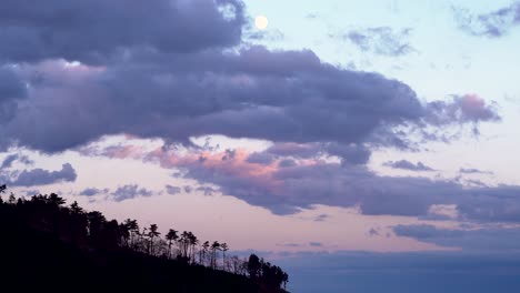 Calm-and-relaxing-minimal-scenery-of-beautiful-dusk-sky-with-tree-silhouette