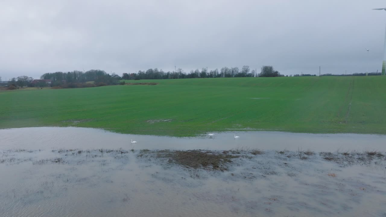 봄에 높은 물의 공중 촬영, 알란데 강 홍수, 갈색과 진 물, 물 에 있는 농장, 구름이 많은 날, 넓은 드론, 앞으로 낮게 움직입니다.