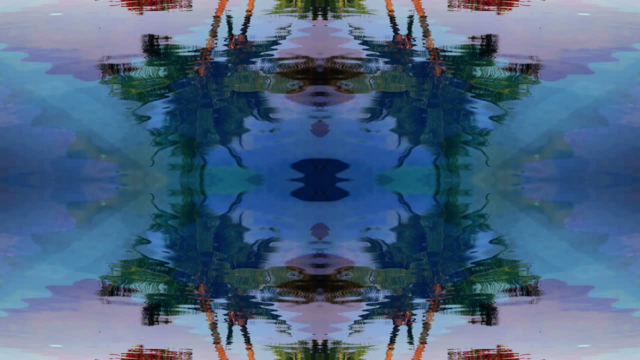 reflejo de la palma 05