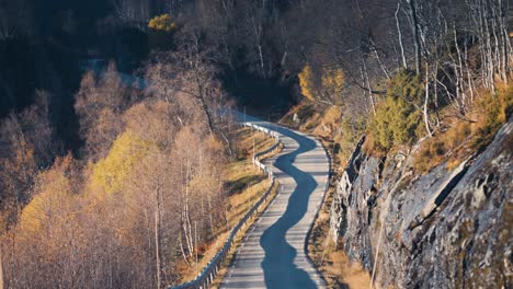 vista aérea de la estrecha carretera rural que serpentea a través del paisaje otoñal