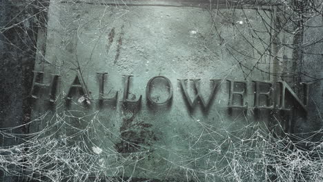 Halloween-Mit-Spinnennetz-An-Der-Grunge-Wand