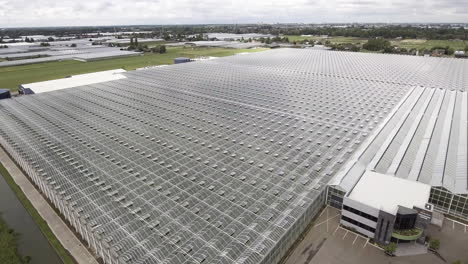 4k aerial dolly forward shot of big a big glass greenhouse farm in the netherlands.