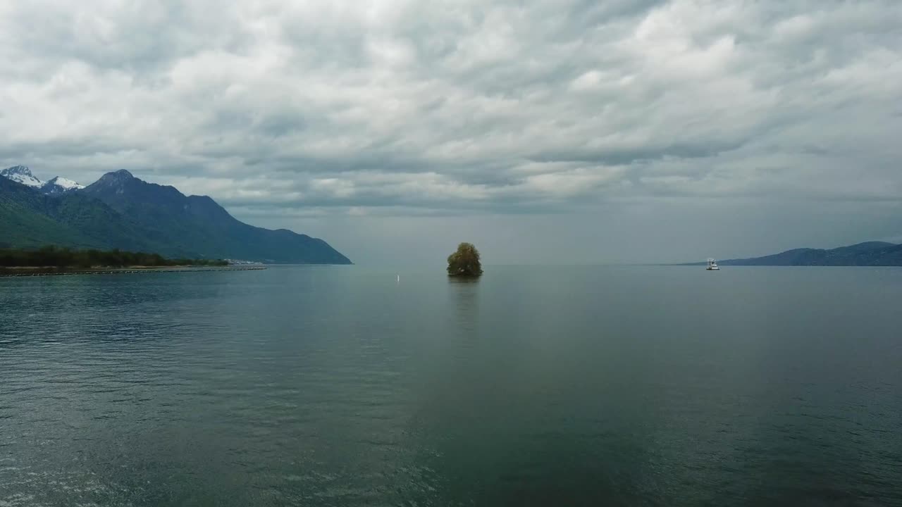 Scenic view of a small tree growing in the middle of Lake Geneva, with mountains and cloudy sky in the background, creating a peaceful and serene atmosphere. Villeneuve, Vaud, Switzerland