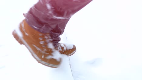persona caminando por la nieve