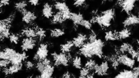 abstract black and white fluid texture