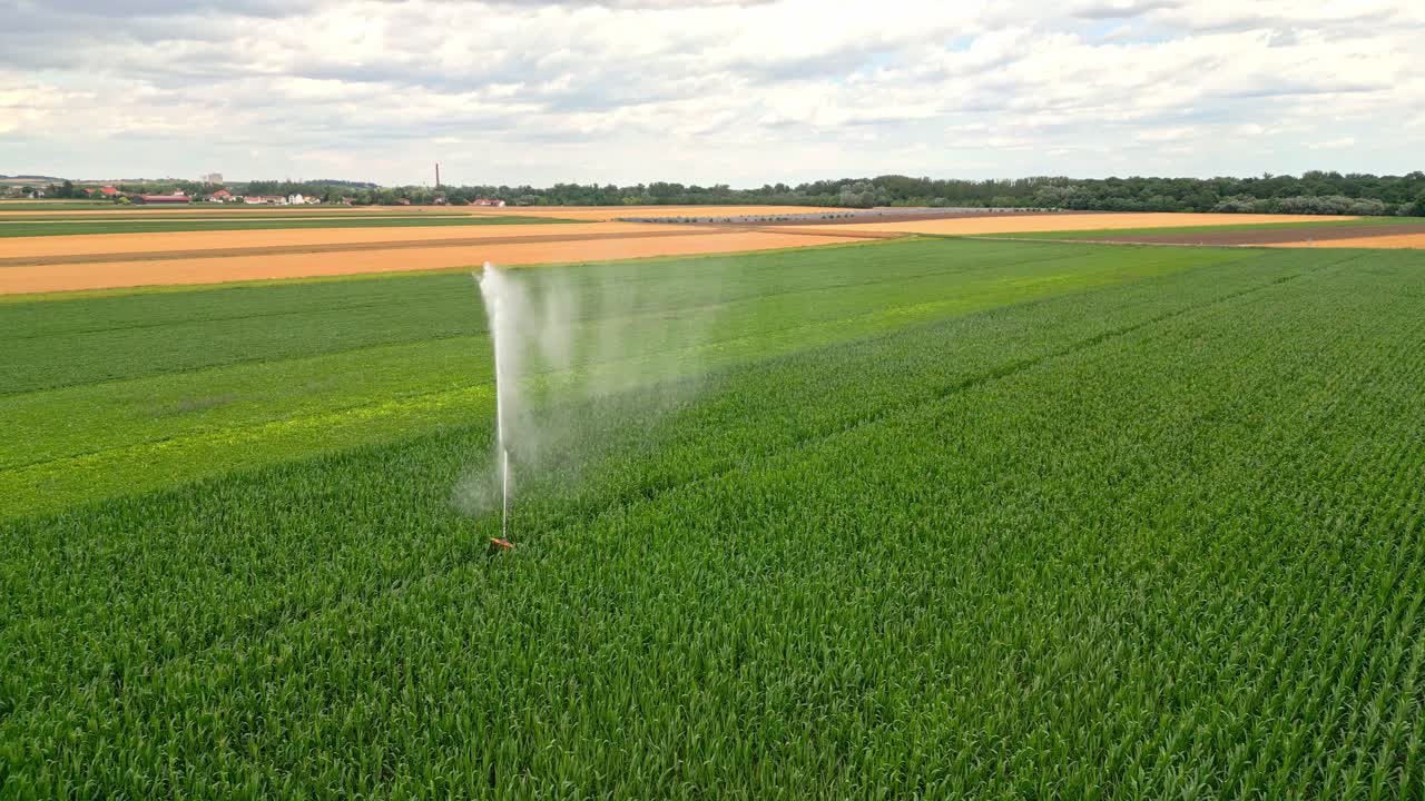 granja de riego de agua por aspersión en marchfeld, austria - toma de avión no tripulado