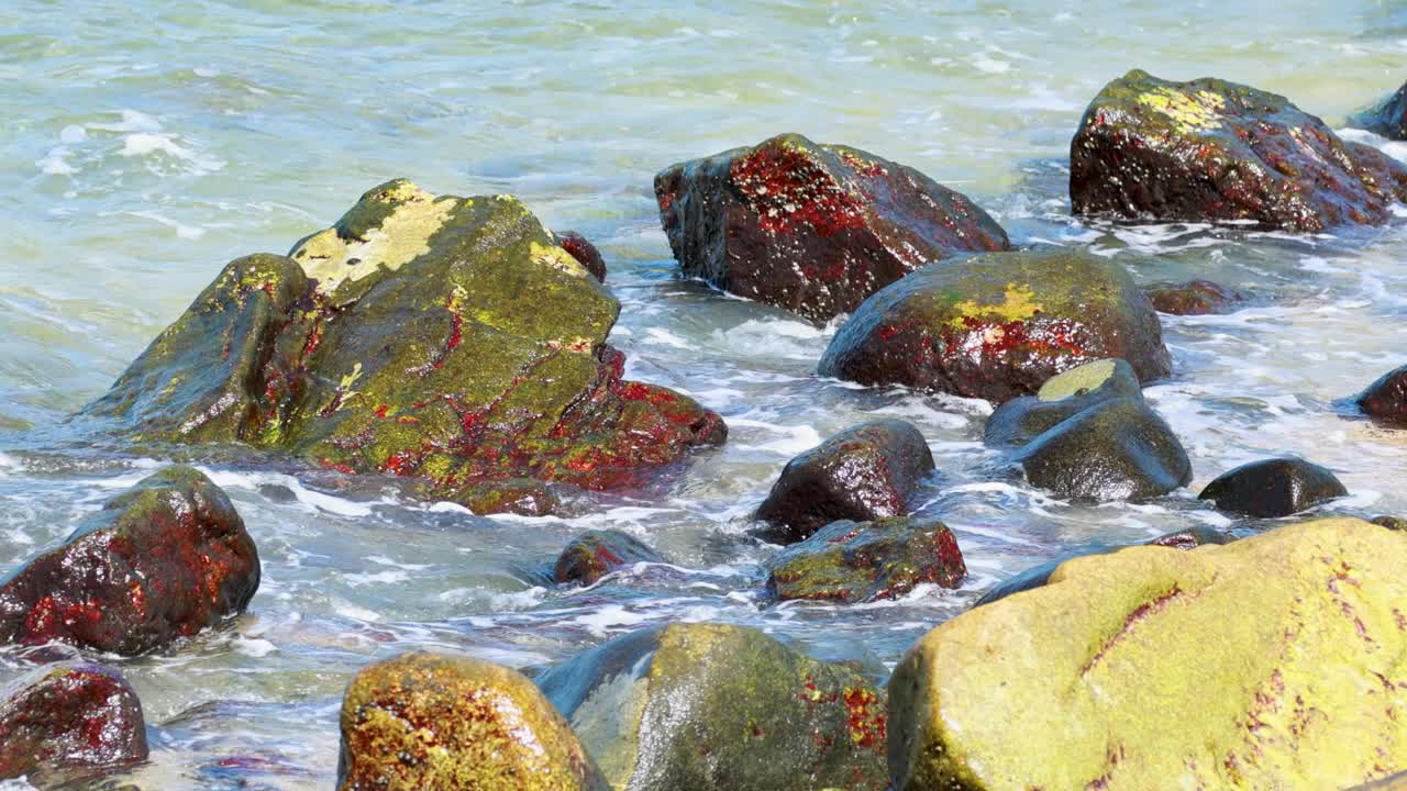 Ocean waves crash over algae-covered rocks, creating dynamic water textures in a coastal setting with vibrant colors