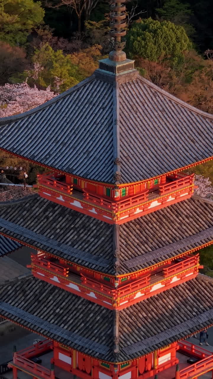 Aerial drone view of the Kiyomizu-dera temple at sunset in Kyoto, Japan