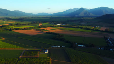 scenic agriculture fields during sunrise in cairns, queensland, australia - aerial drone shot