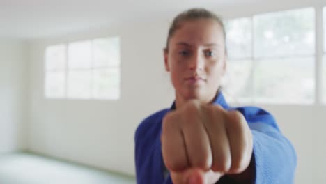 karateka posing and punching on the mat