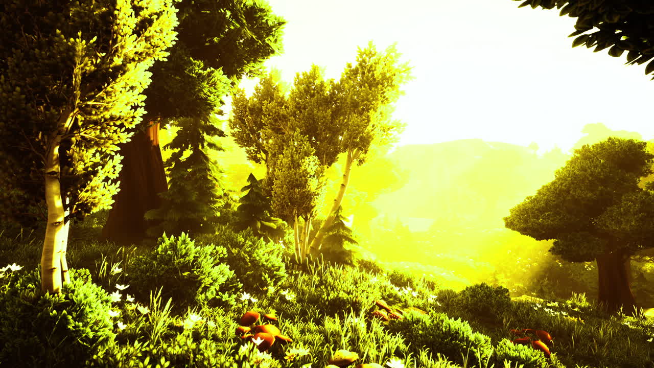 Lush green landscape bathed in golden sunlight during a peaceful afternoon