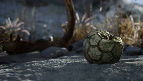 una vieja pelota de fútbol rota arrojada yace en la arena de la playa del mar