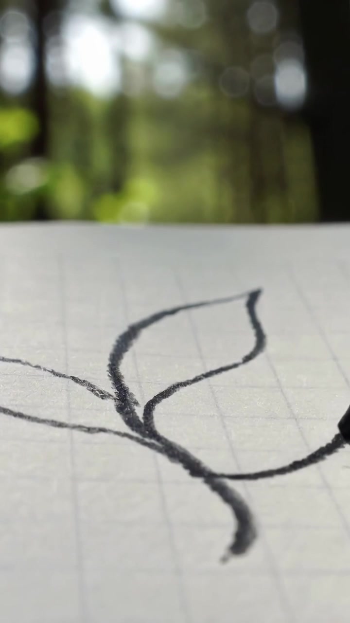 Vertical video: Touching sharpened pencil tip tracing leaf on graph paper by window refining sketch
