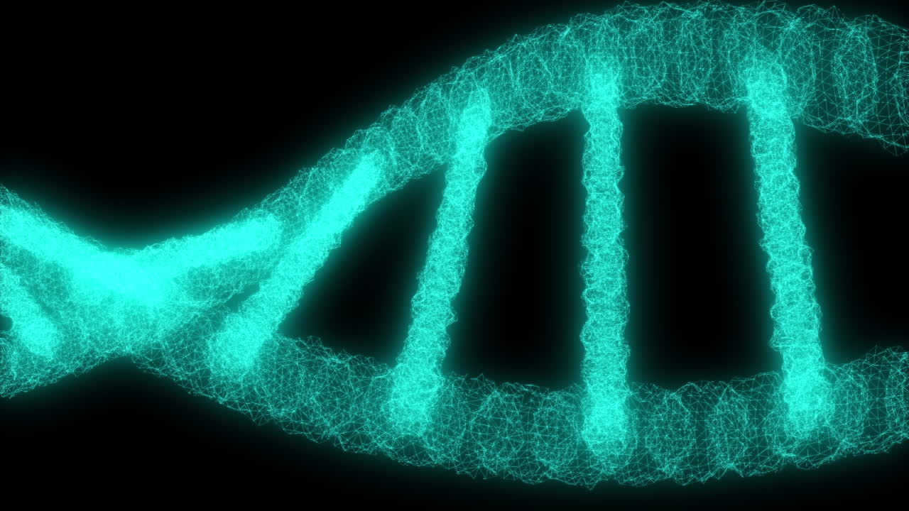 DNA Strand Visualization