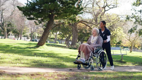 nurse assists senior woman in wheelchair in park