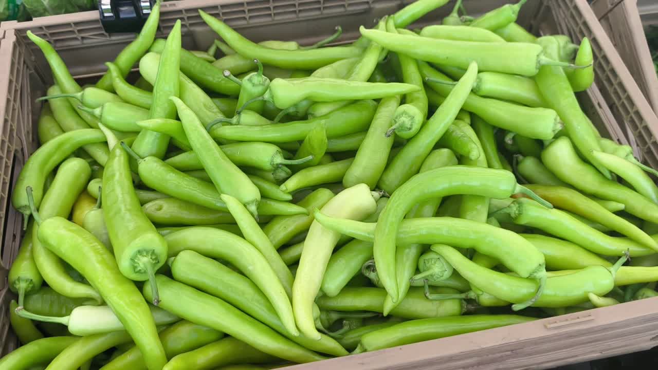 Uma grande pilha de pimentas lada solok verdes e frescas é exibida em um supermercado. Essas pimentas são um alimento básico na culinária da Malásia. Os clientes podem escolher entre os produtos vibrantes e de alta qualidade.