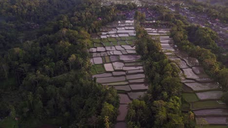 Drohnenansicht-Von-Bali