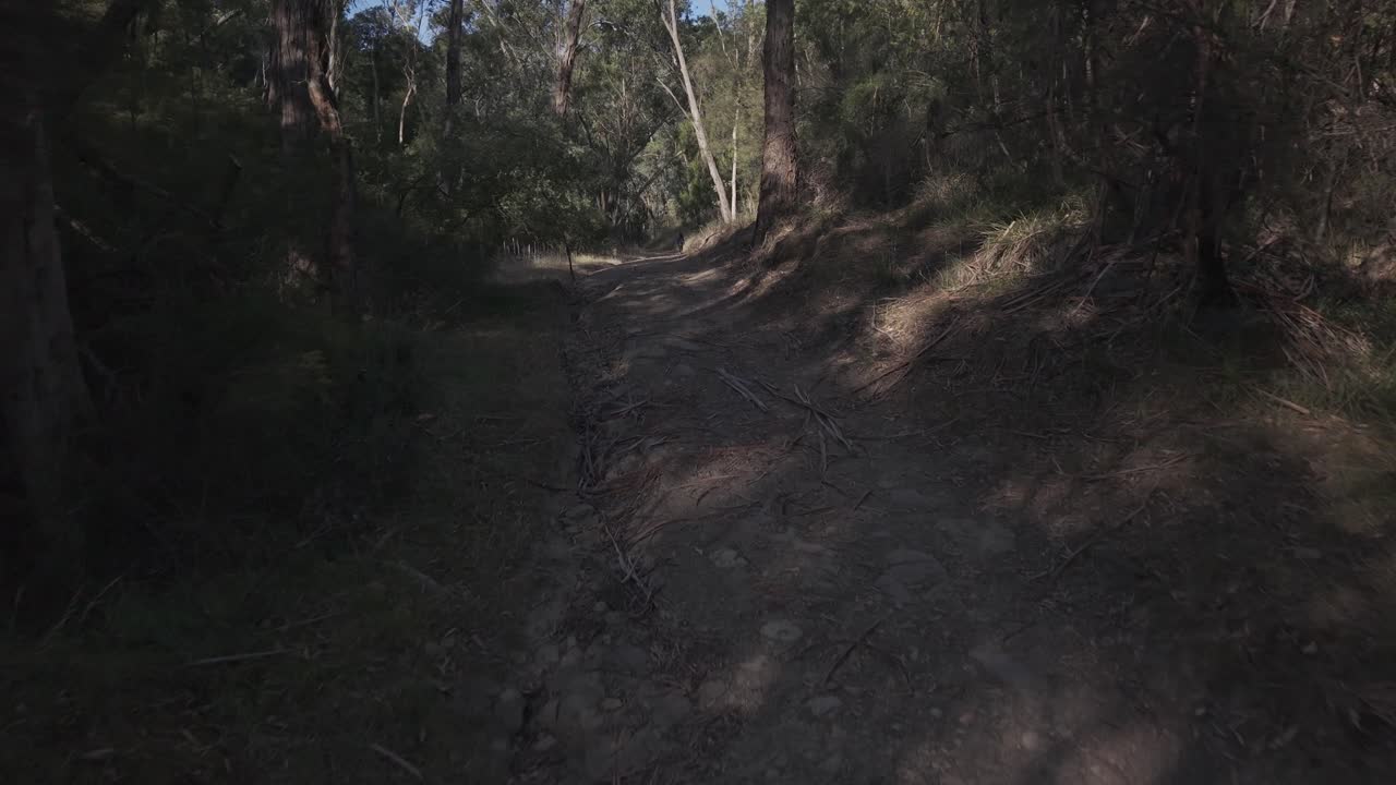 Explore the serene trail at Mining Mountain, Warrandyte, Melbourne. Daytime light casts shadows on the rugged, forested path. No people seen, enhancing the tranquil vibe