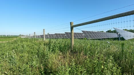 View-of-solar-panel-array-surrounded-by-a-fence-in-a-rural-area-with-fields-full-of-crops