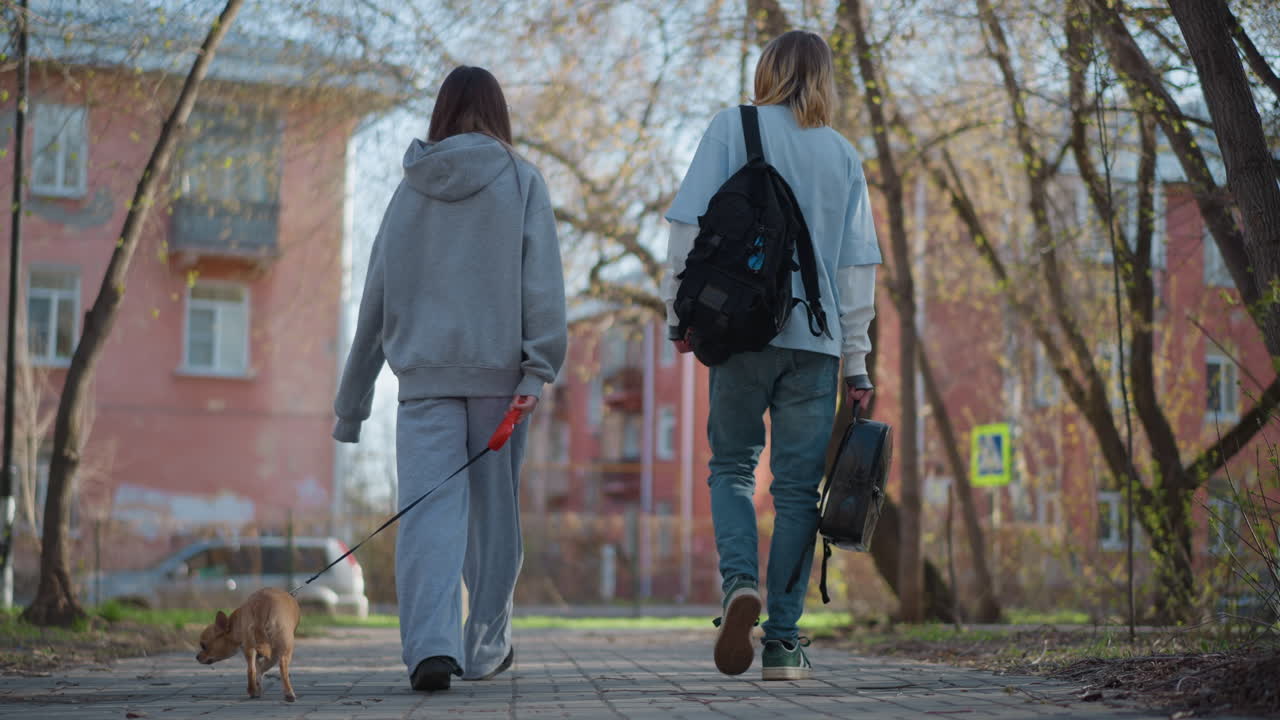 Unos amigos caucásicos pasean a un perro pequeño por la acera; la escena de la acera muestra a dos amigos con una mascota en un vecindario; dos compañeros de etnia caucásica pasean junto a su perro mascota en una calle frondosa.