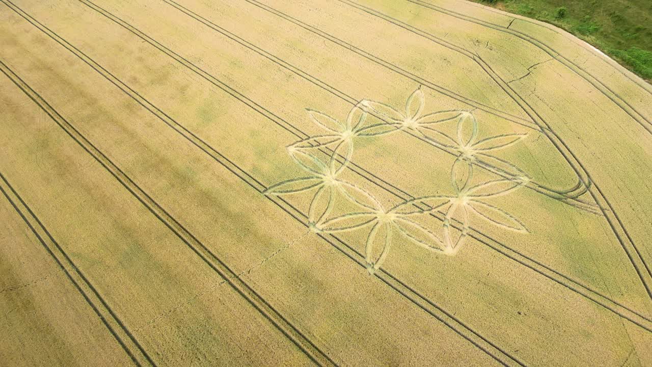 기하학적 작물 원 형성, 드론 비행 공개 보기, 워민스터, 영국