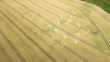 Geometric-crop-circle-formation,-drone-flyover-reveal-view,-Warminster,-UK