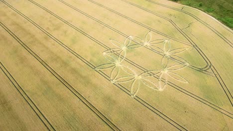 formación geométrica de círculos de cultivos, visión revelada del sobrevuelo de aviones no tripulados, warminster, reino unido