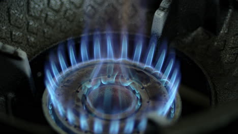 close-up of a gas stove burner with blue flames