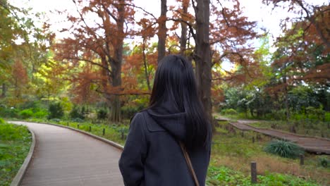 Toma-De-Seguimiento-En-Cámara-Lenta-De-Una-Chica-Caminando-En-Un-Paisaje-De-Colores-Otoñales,-Shinjuku-Gyoen