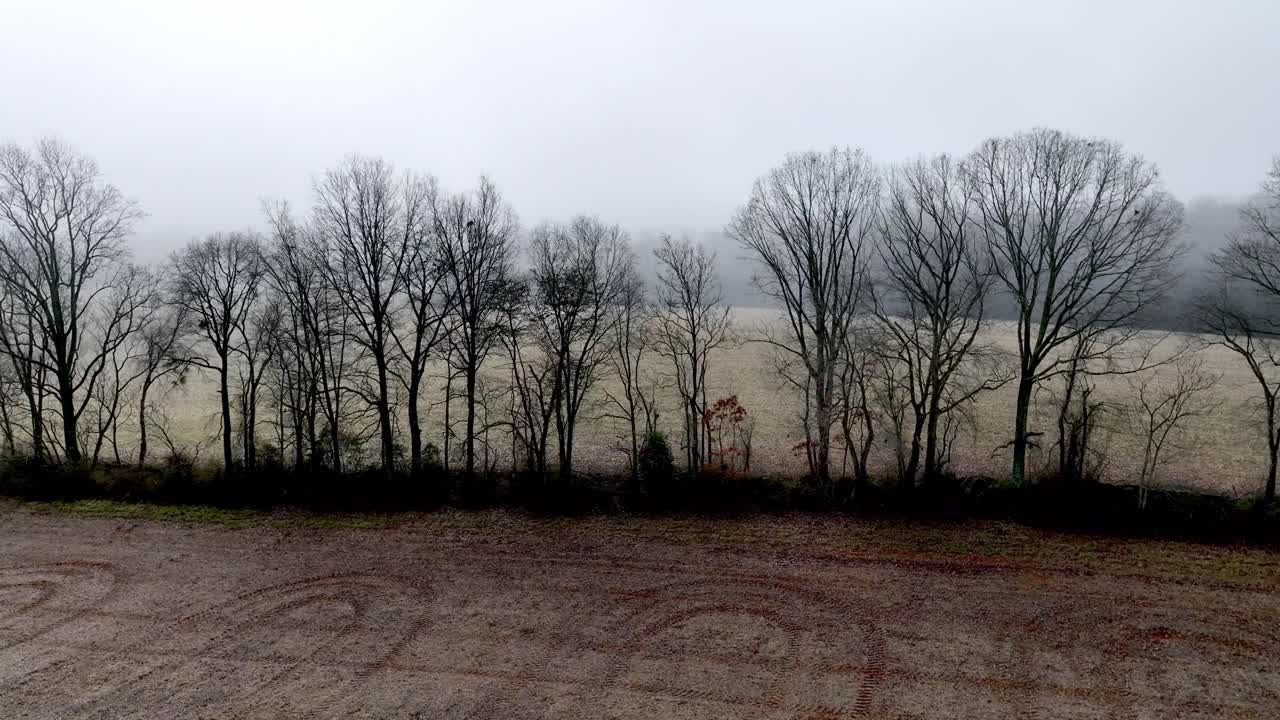 antenna sopra le cime degli alberi nel campo invernale nella contea di yadkin nc, carolina del nord