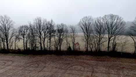 aerial-over-treetops-in-winter-field-in-yadkin-county-nc,-north-carolina