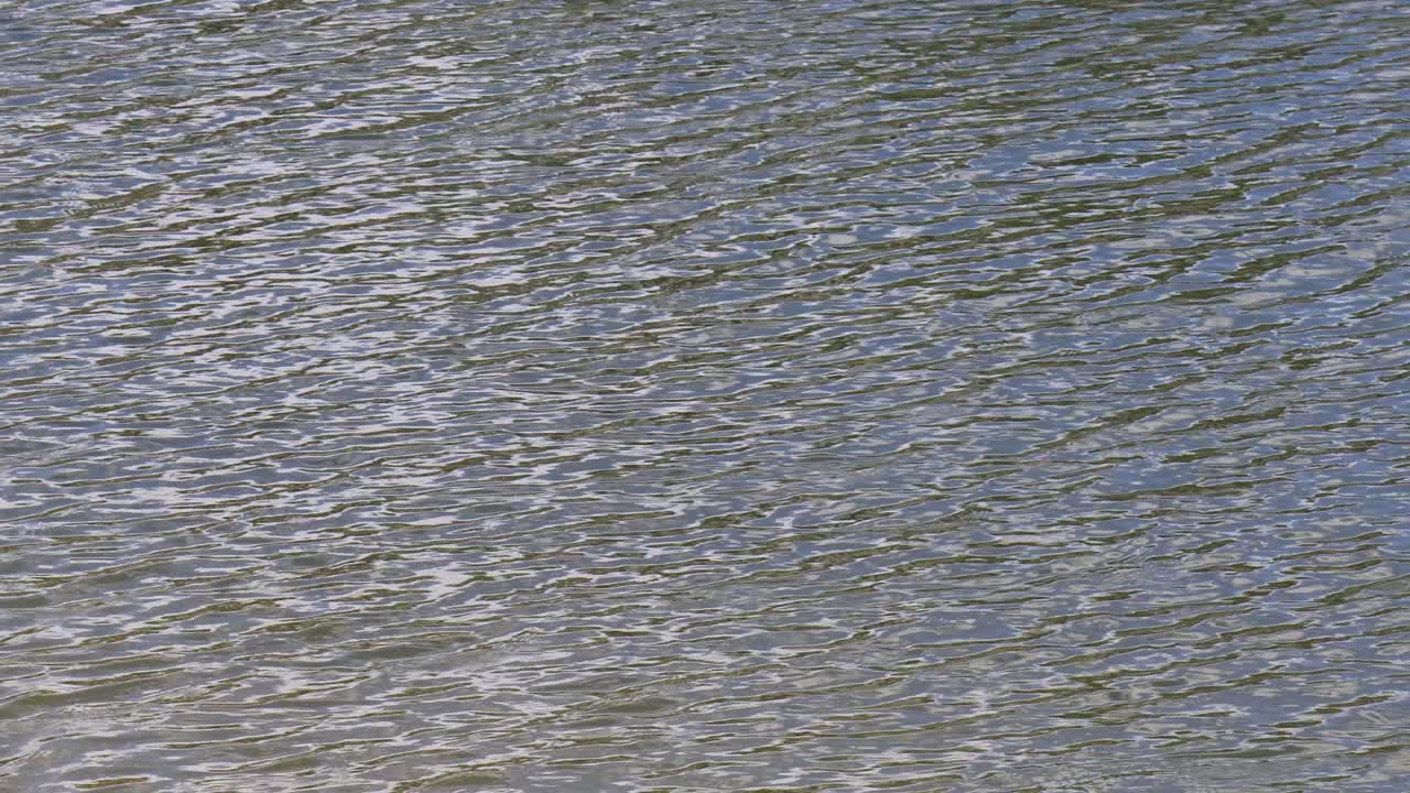 물 표면의 파동을 근접적으로 볼 수 있습니다.